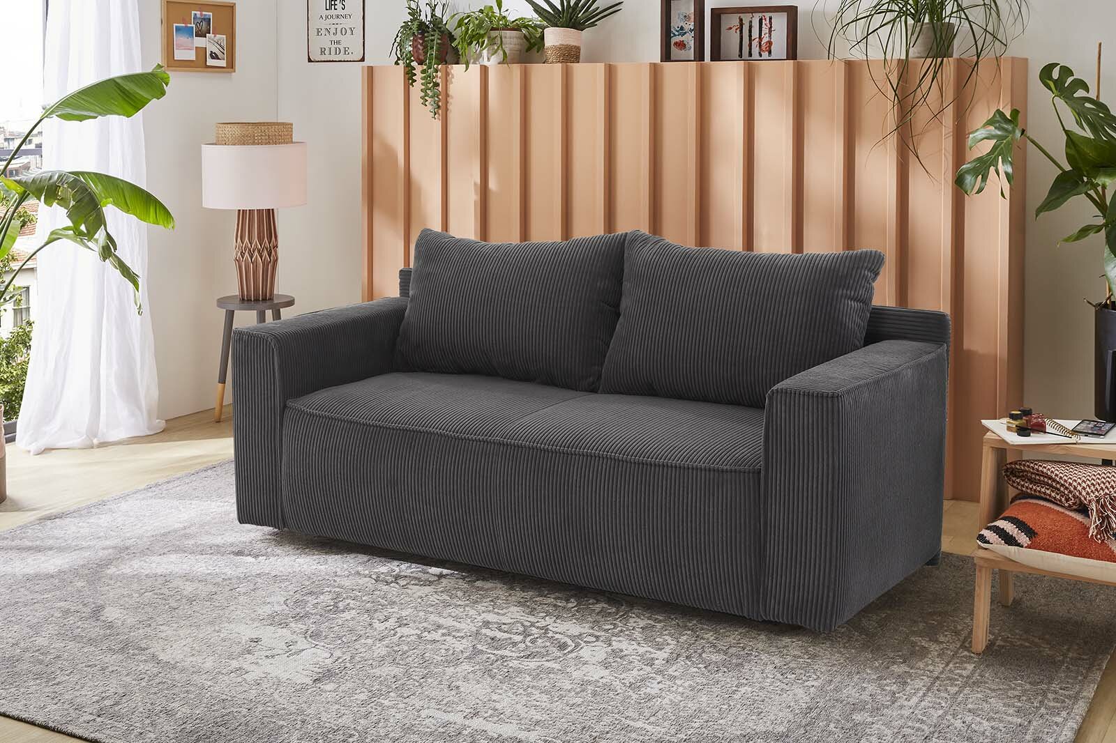 Schlafsofa, Ron