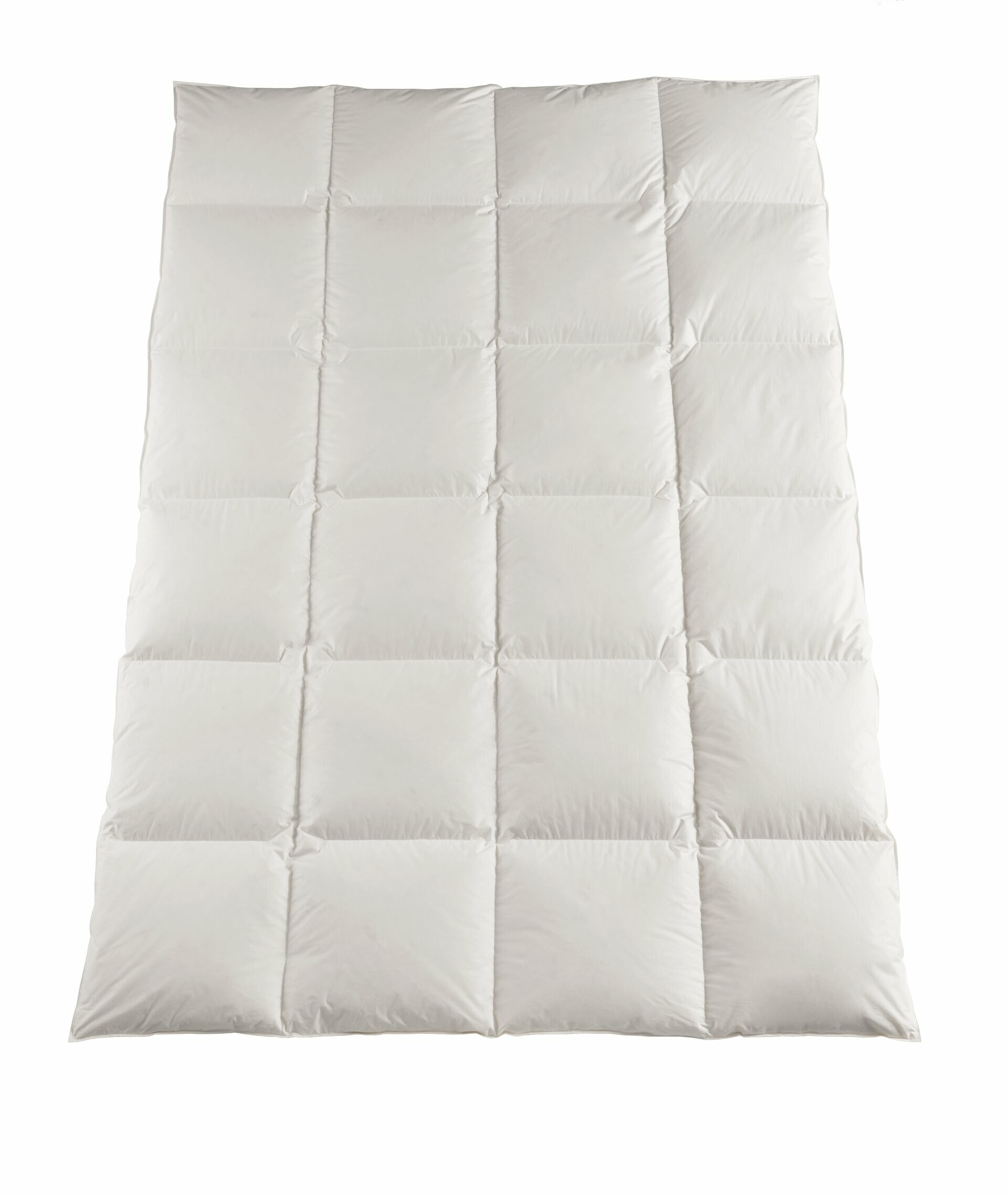 Kassettenbett 8x10, bio:vio