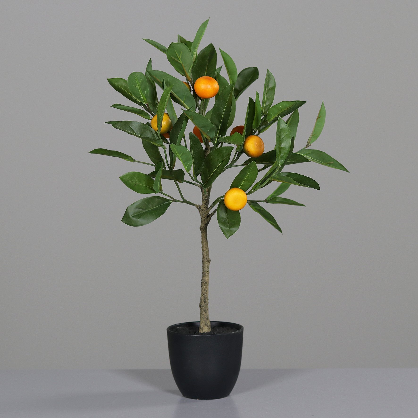 Mandarinenbaum