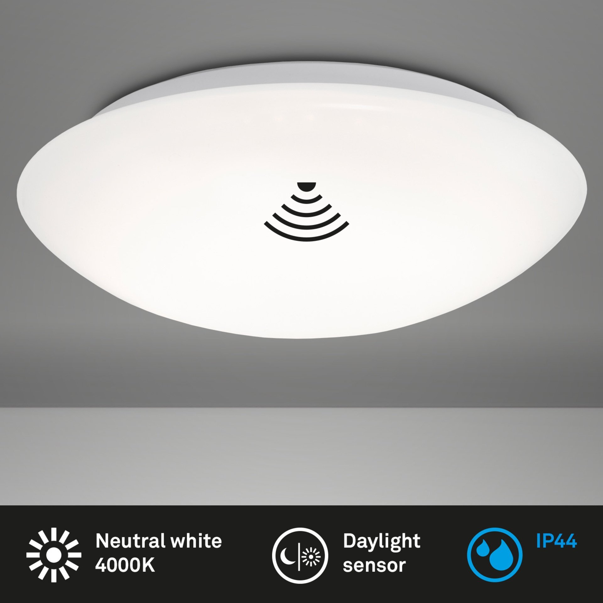 Wand- und Deckenleuchte, Elipso