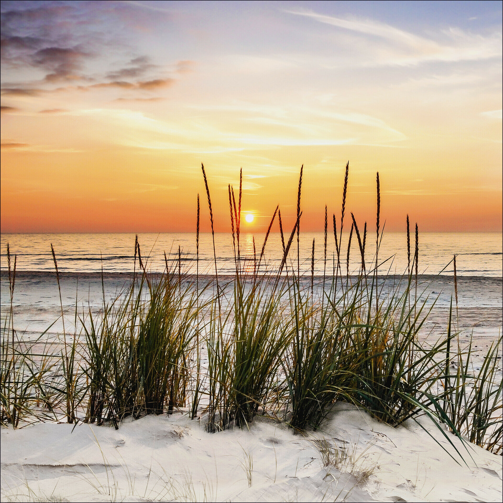 Canvas-Art, Lonely Dune