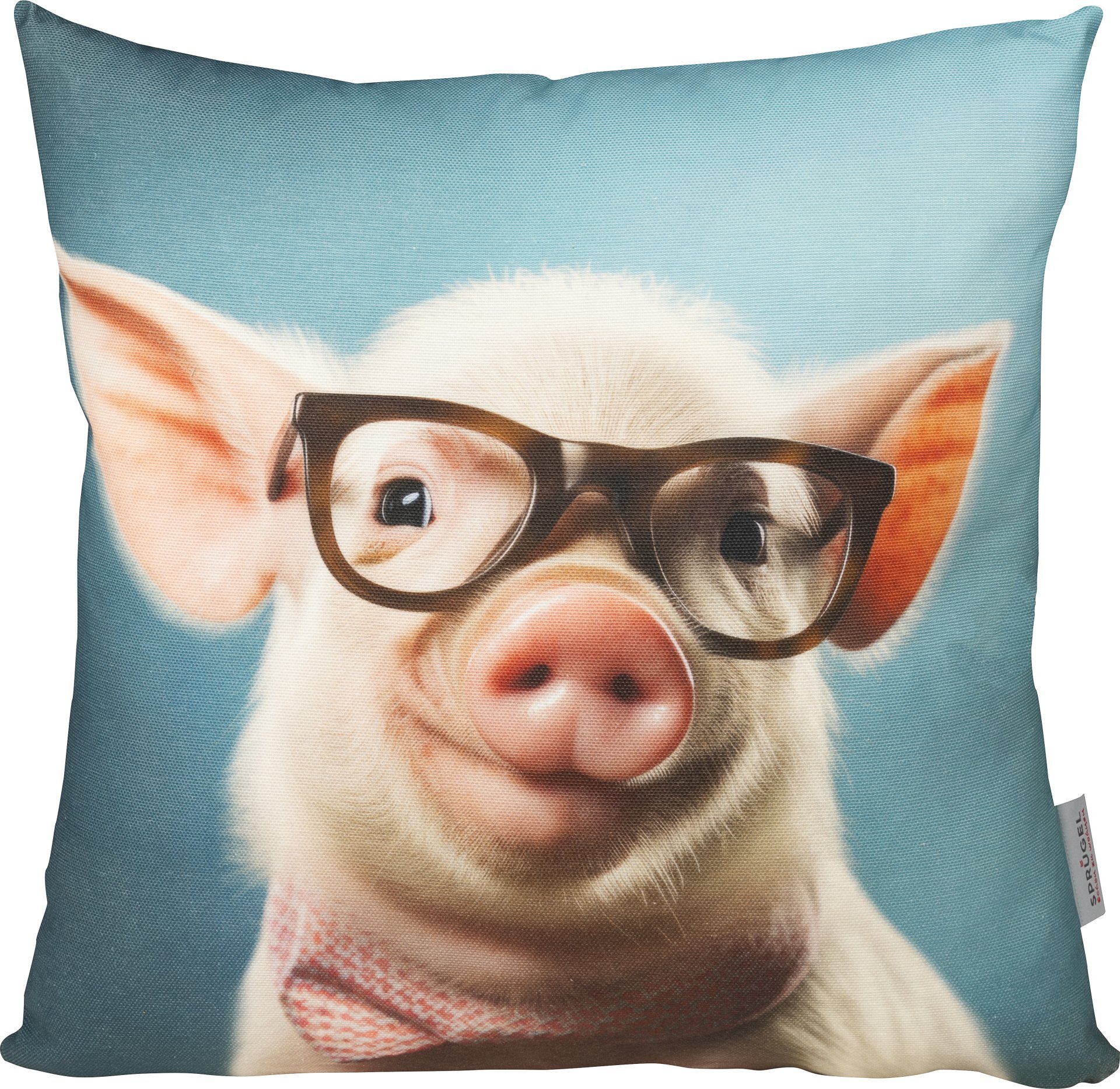 Kissenhülle, Smart Pig