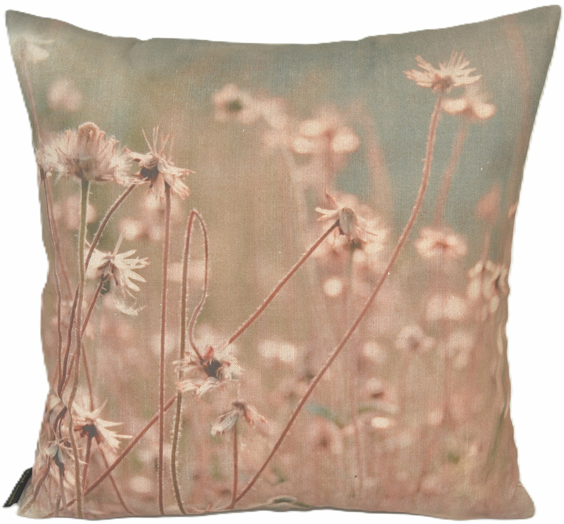 Kissenhülle, B: 50cm, T: 50cm