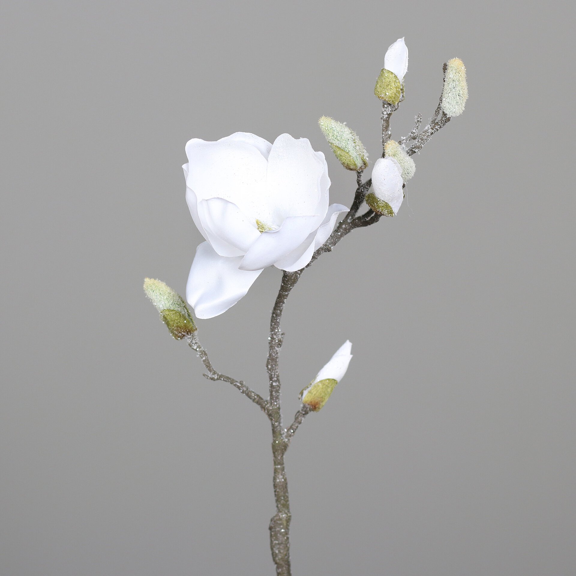 Magnolien-Pick