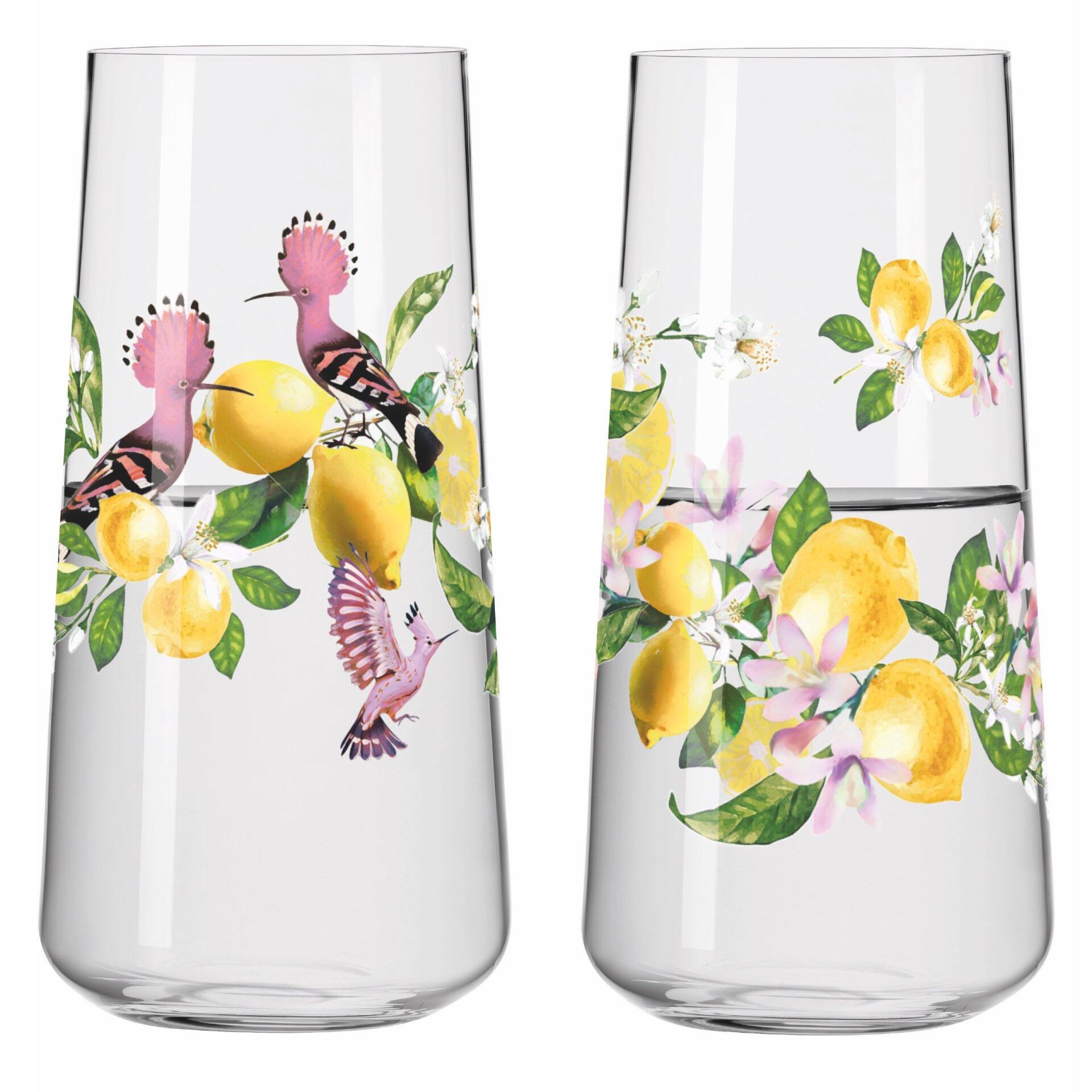 Universalglas-Set