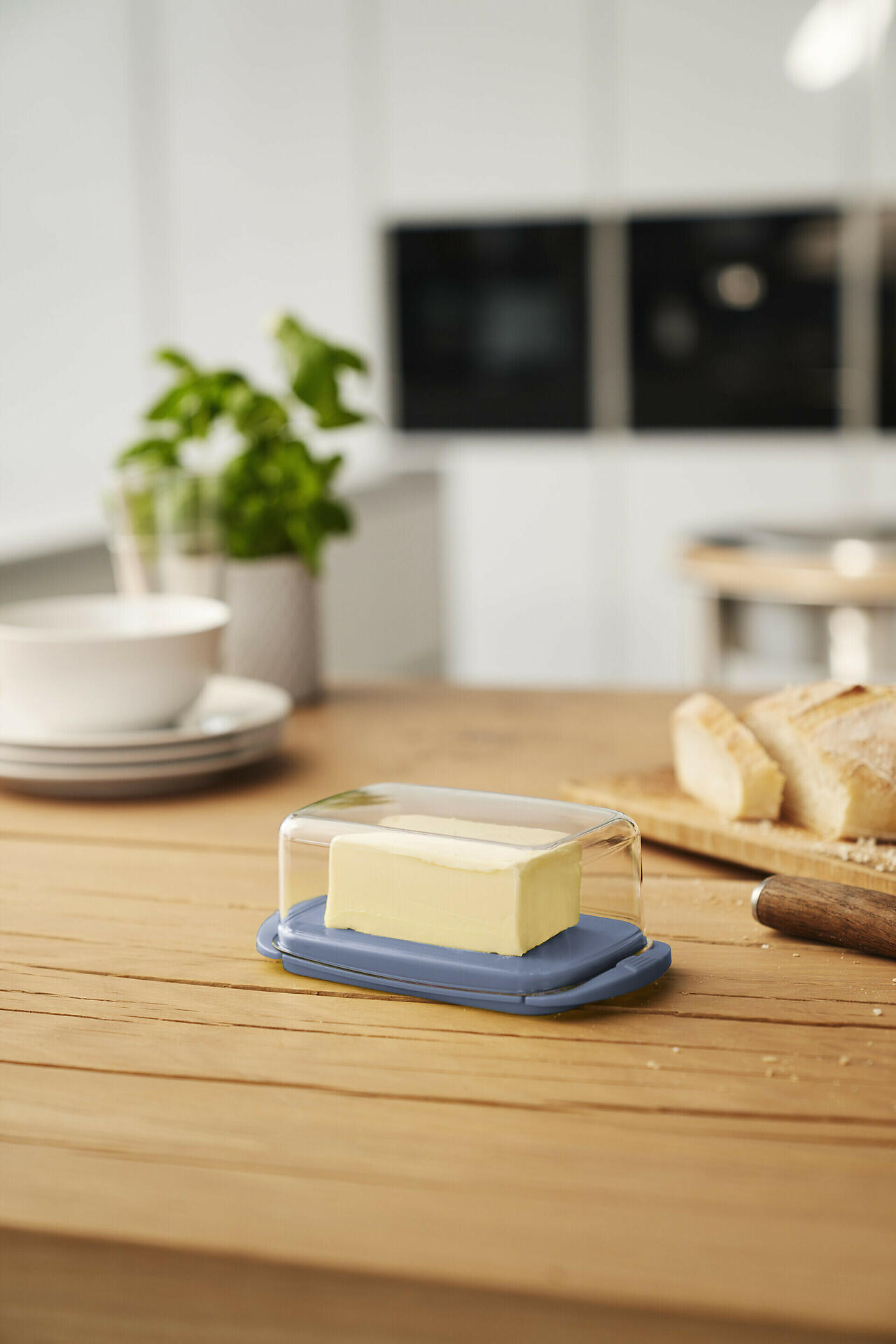 Rotho Kunststoff Blau Butterdose, Fresh – – Ca.9,5X6,5X18cm