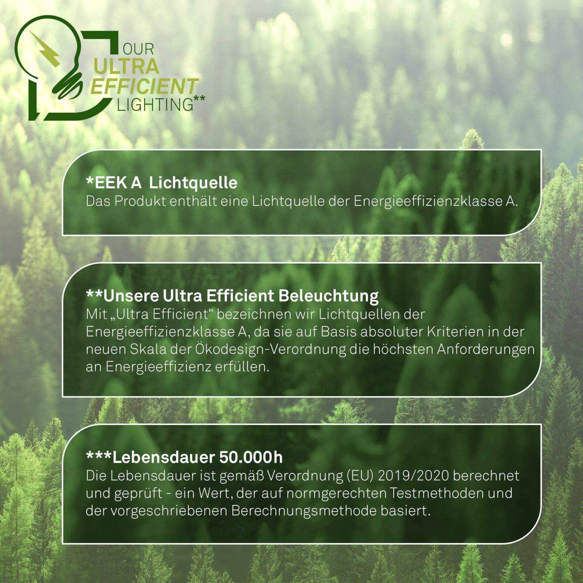 Nahaufnahme der Wand- und Deckenleuchte Lana a mit dem Hinweis auf höchste Energieeffizienzklasse A und eine Lebensdauer von 50.000 Stunden.