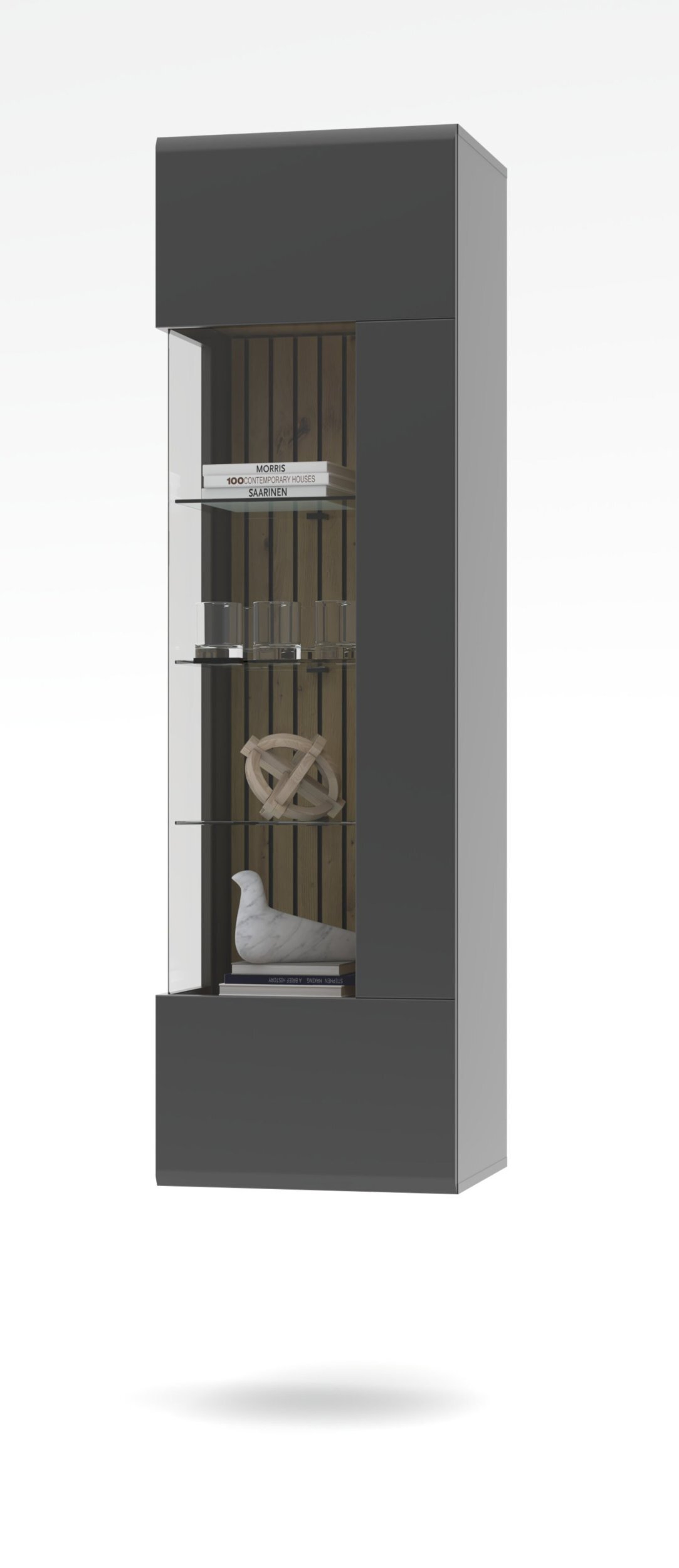 Vitrine, Evo