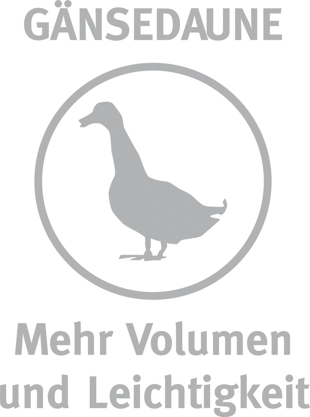 Daunen-&Federnkissen, Malea fest