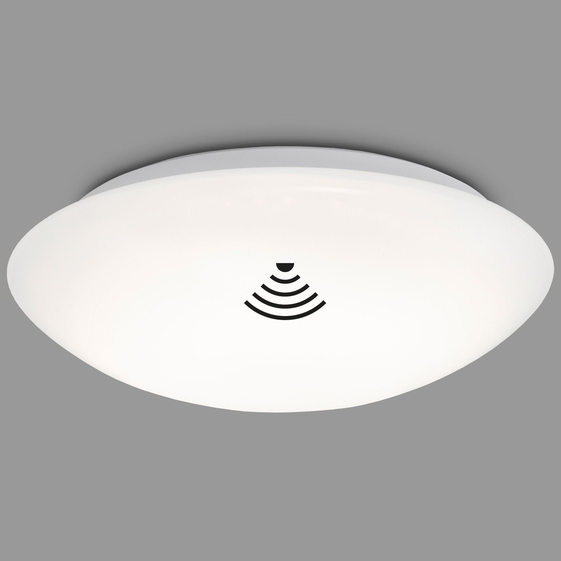 Wand- und Deckenleuchte, Elipso