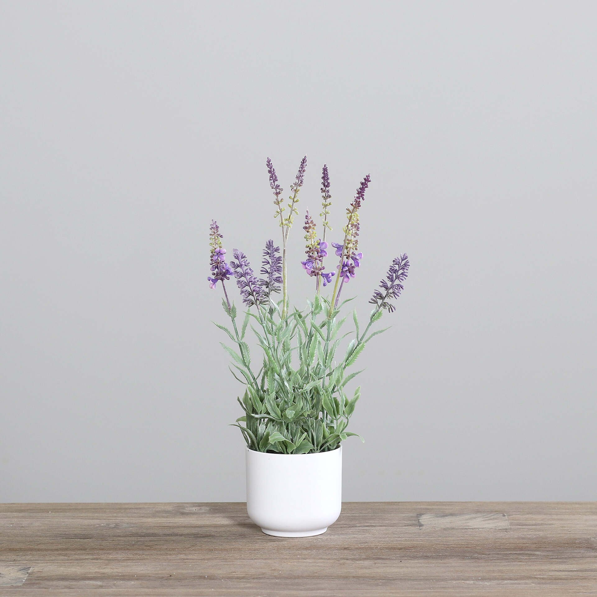 Lavendel