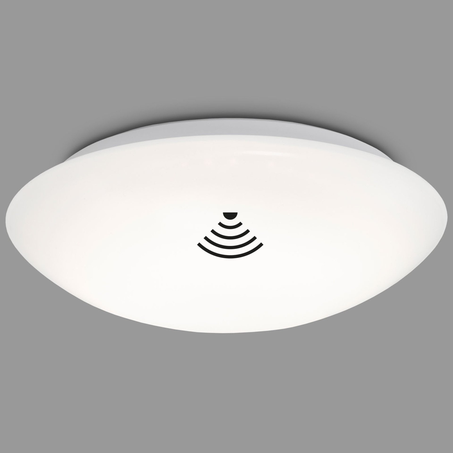 Wand- und Deckenleuchte, Elipso