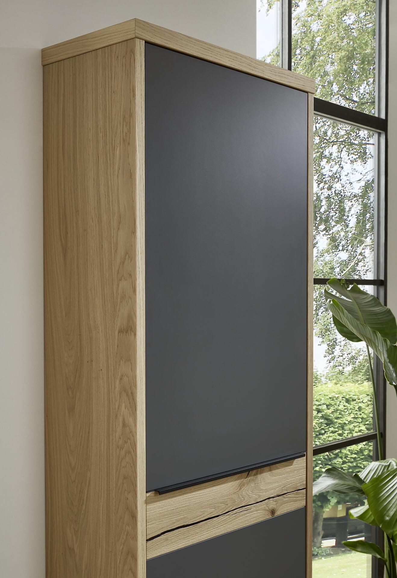Hängekleiderschrank,  Arco Trend