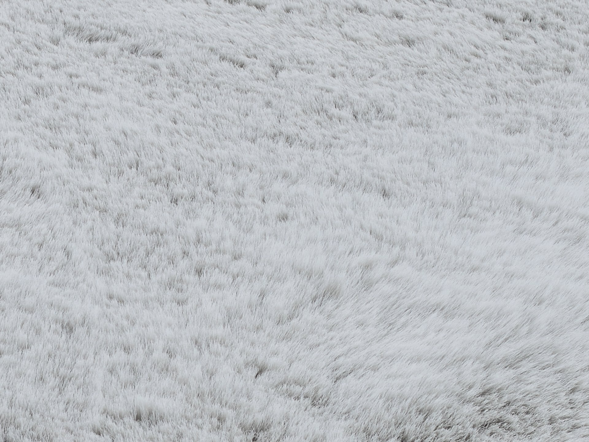 Maschinenwebteppich, Sinop