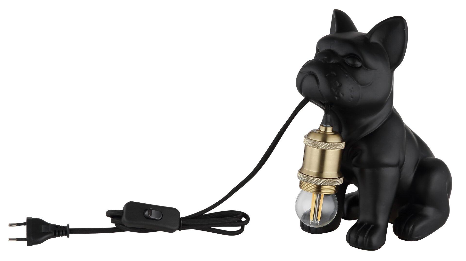 Tischleuchte DOGO in Form einer sitzenden Bulldogge mit Messingfarbener Fassung, abwärts gerichtetem Lichtschein und Kippschalter am Kabel.