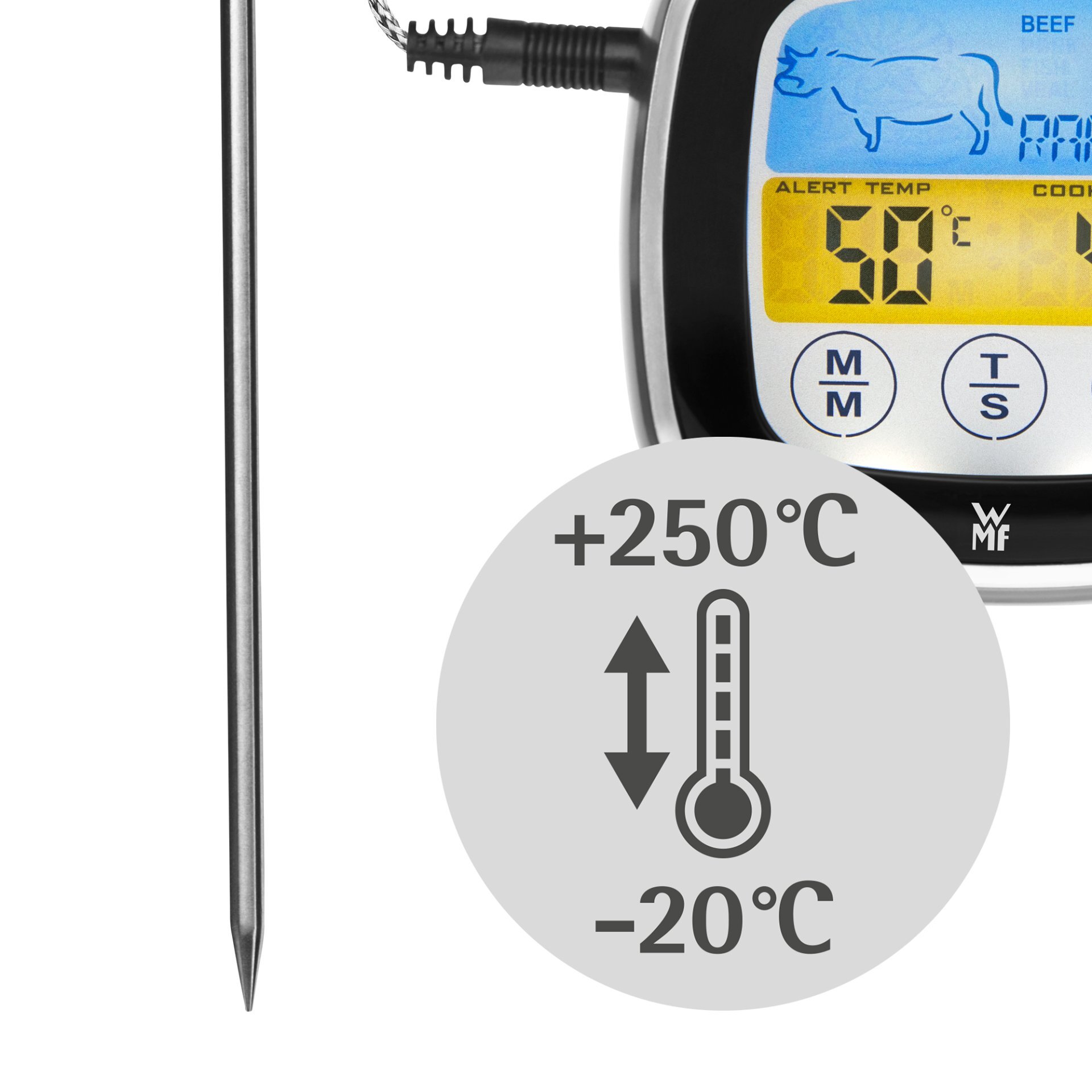 Bratenthermometer, Bbq