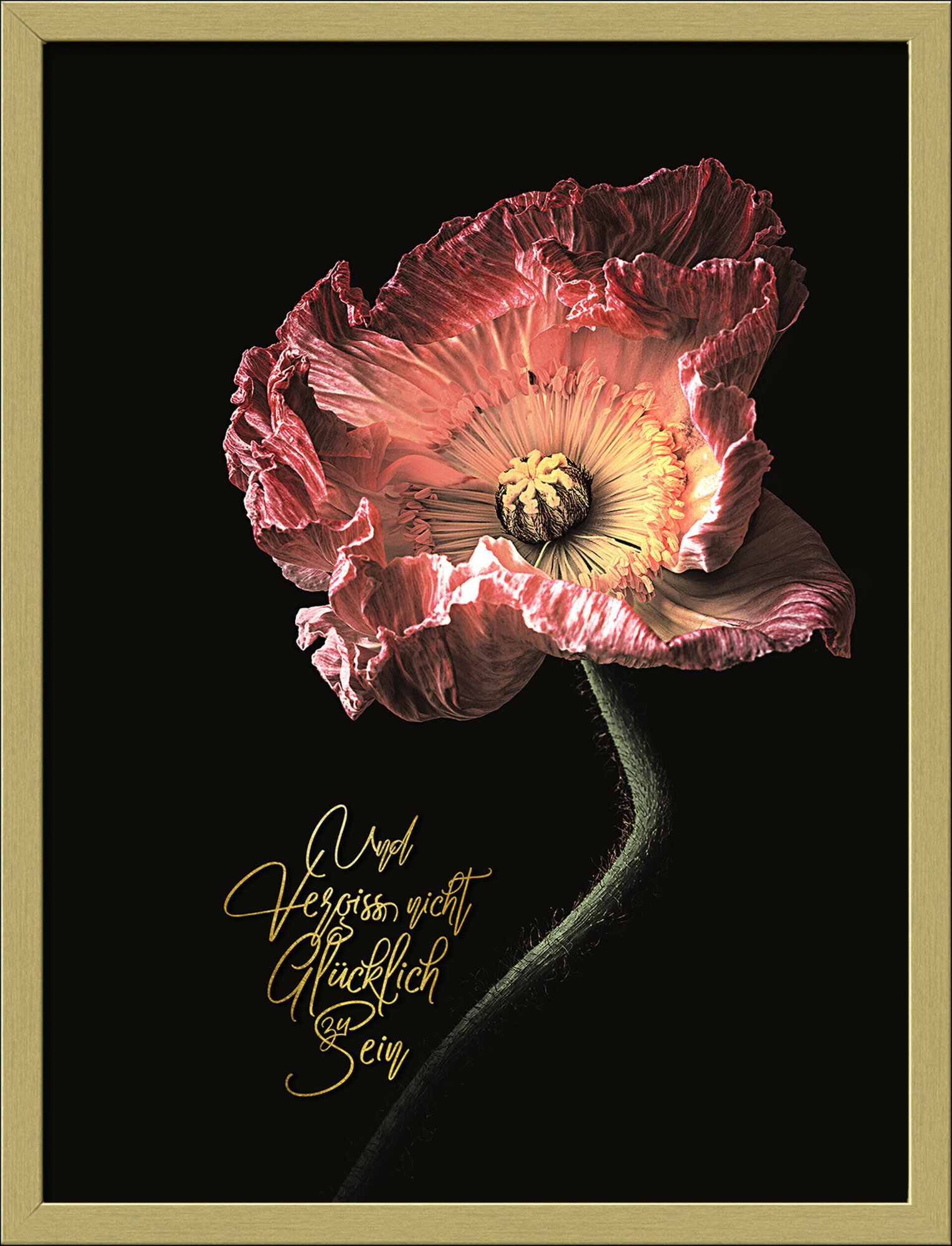 Framed-Art, Beautiful & Gold IV