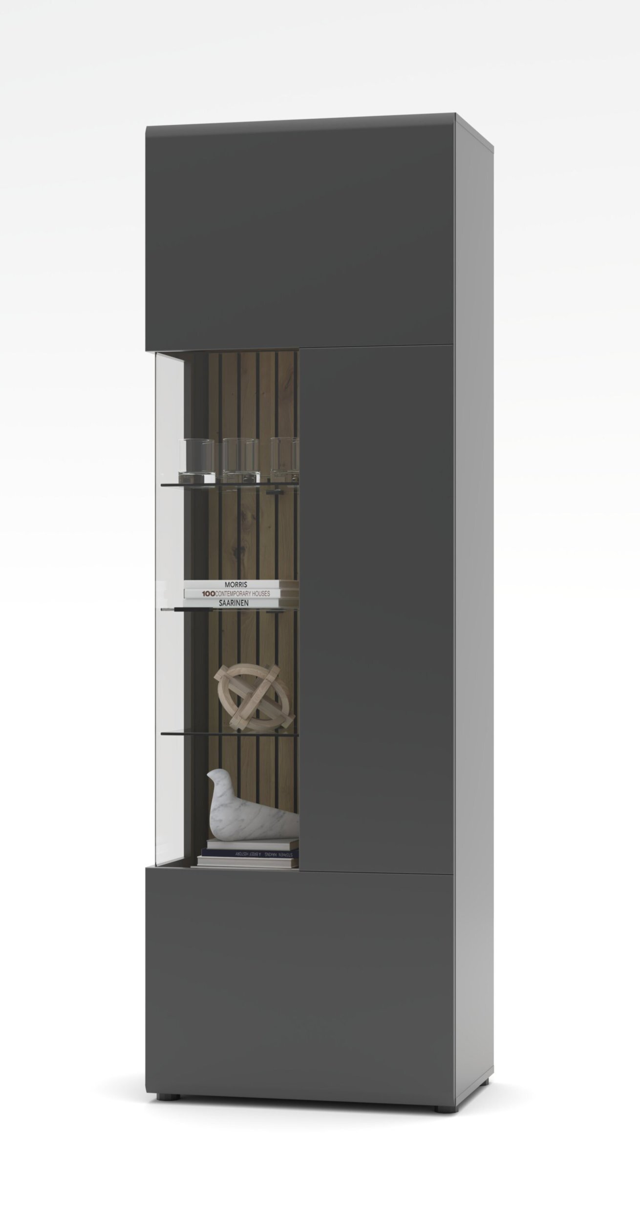 Vitrine, Evo