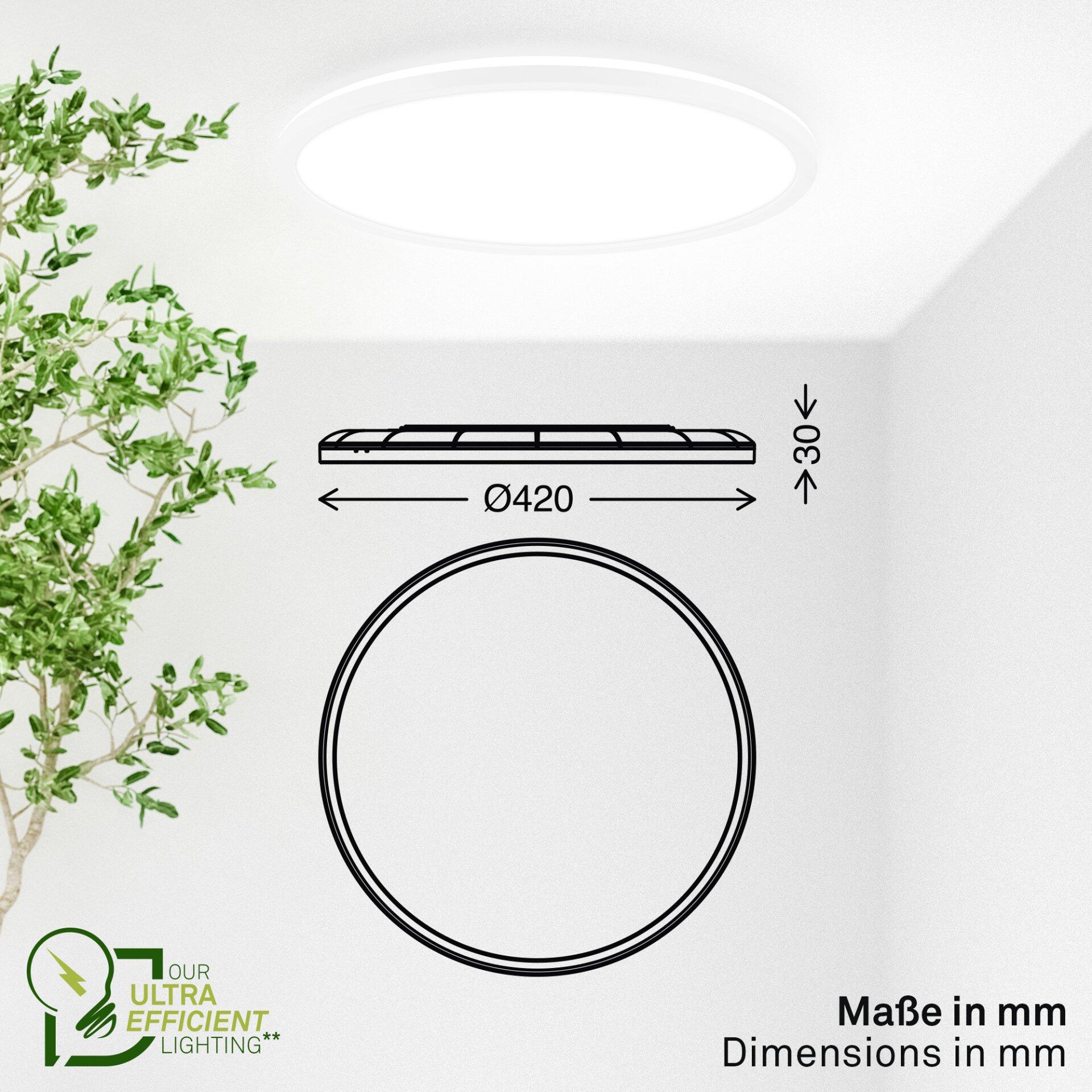 Deckenleuchte Tava a, rund, flach und seitlich an der Wand montiert, mit einem Durchmesser von 42 cm und einer Höhe von 3 cm.